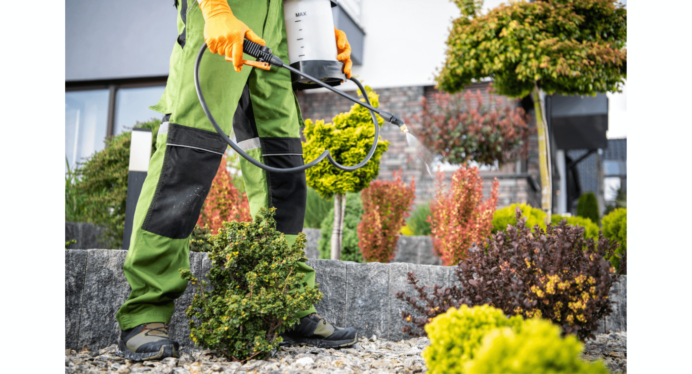 Summer Gardening Tips for Hearing Aid Users