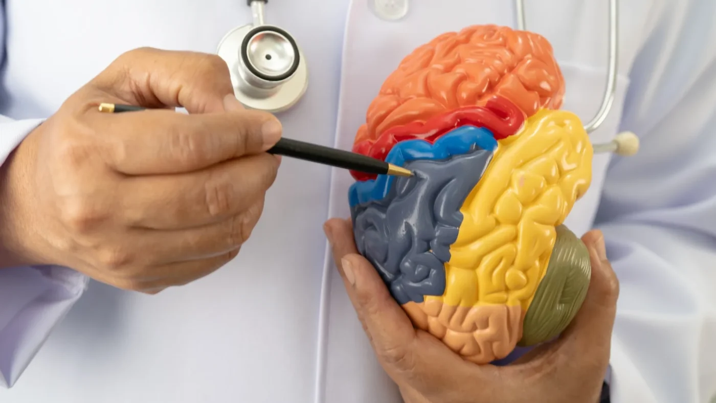 Learn how clear hearing keeps your brain sharp and improves memory and focus, and why professional evaluations matter.